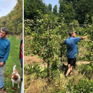 Workshop 'Fruitbomen kweken uit zaad', met Taco Blom, vrijdag 7 november 2025
