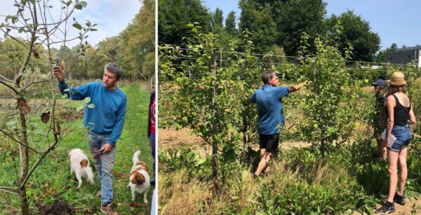 Workshop 'Fruitbomen kweken uit zaad', met Taco Blom, vrijdag 7 november 2025