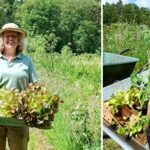 Praktijkles 'Permacultuur in je moestuin', met Valérie van Dijck - vrijdag 12 september