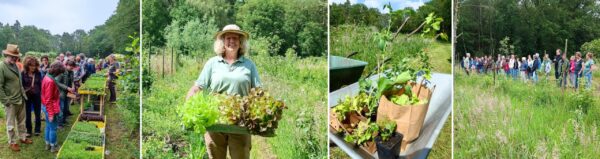 Praktijkles 'Permacultuur in je moestuin', met Valérie van Dijck - vrijdag 12 september