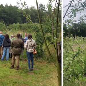 Workshop plantgemeenschappen, met Taco Blom - zondag 28 september