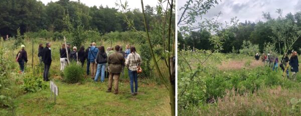 Workshop plantgemeenschappen, met Taco Blom - zondag 28 september