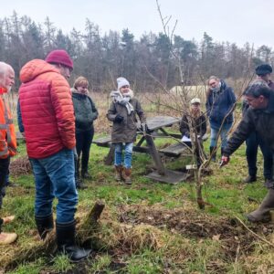 Workshop 'de zaailing fruitboom', vrijdag 7 november - met Taco Blom