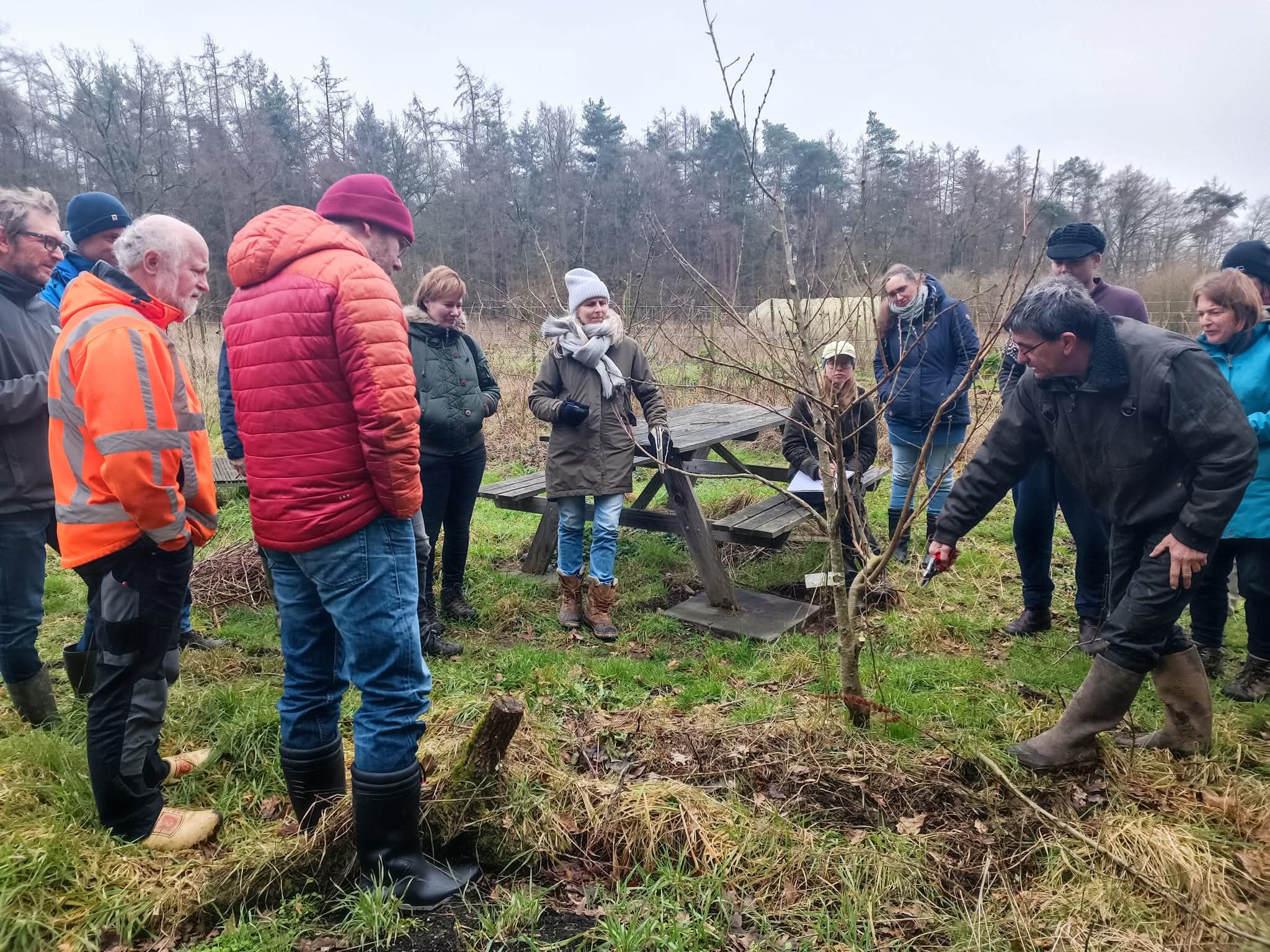 Workshop ‘de zaailing appel’, met Taco Blom