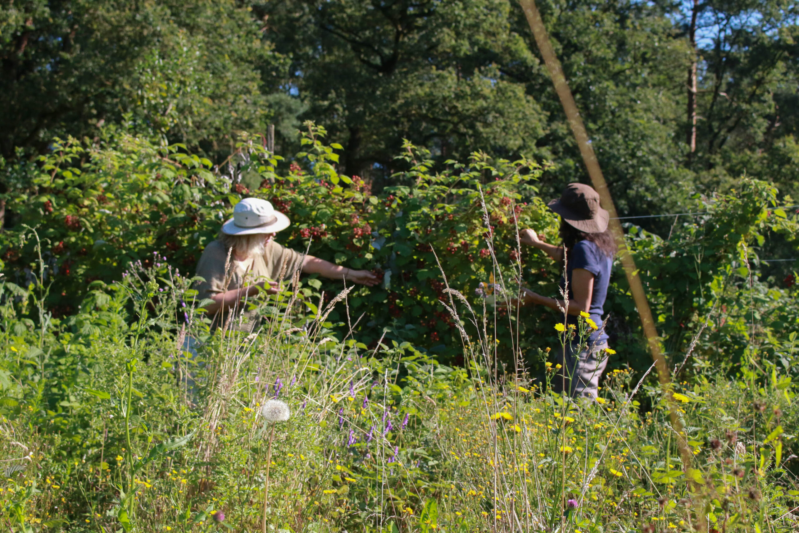Leerweg Het Rijke Landschap, met Valérie van Dijck & Chantal van Genderen
