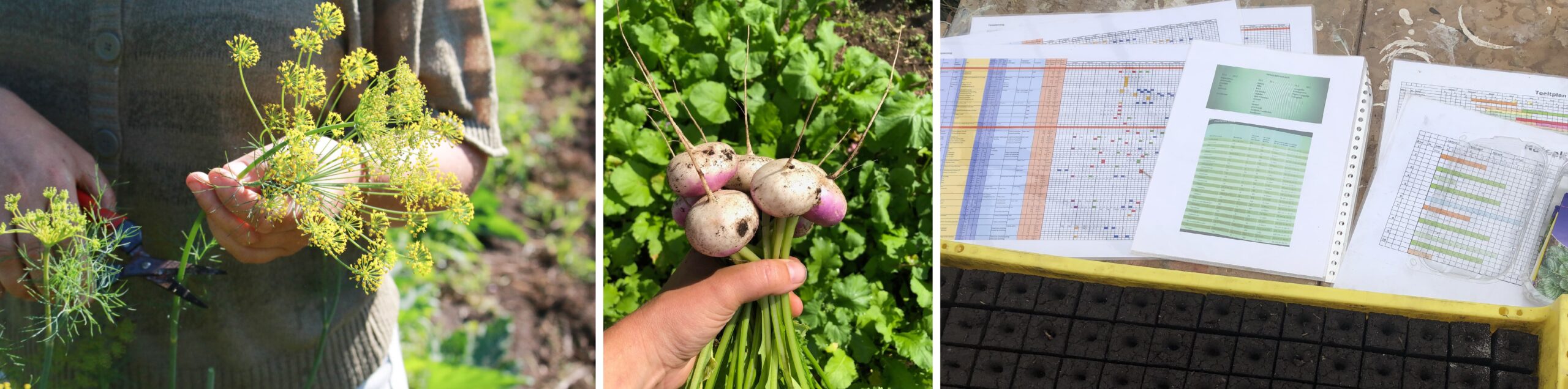 Praktijk lesdag ‘Permacultuur in je moestuin’